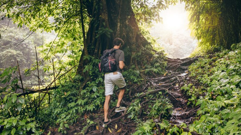 people-hiking-in-tropical-jungle.jpg